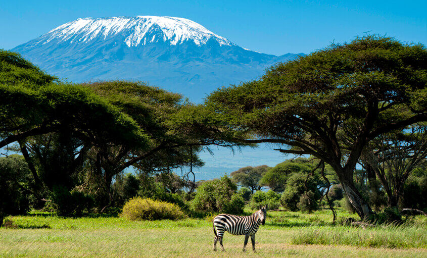 kilimanjaro-tanzania