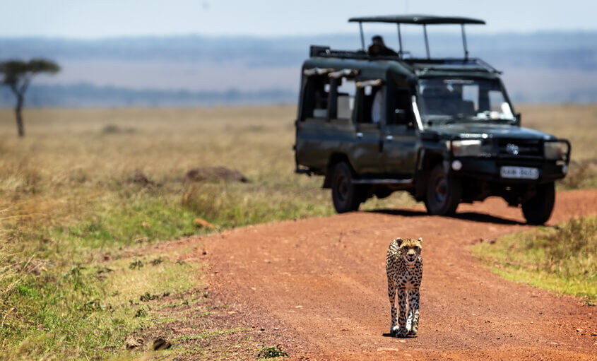best-safaris-kenya (1)